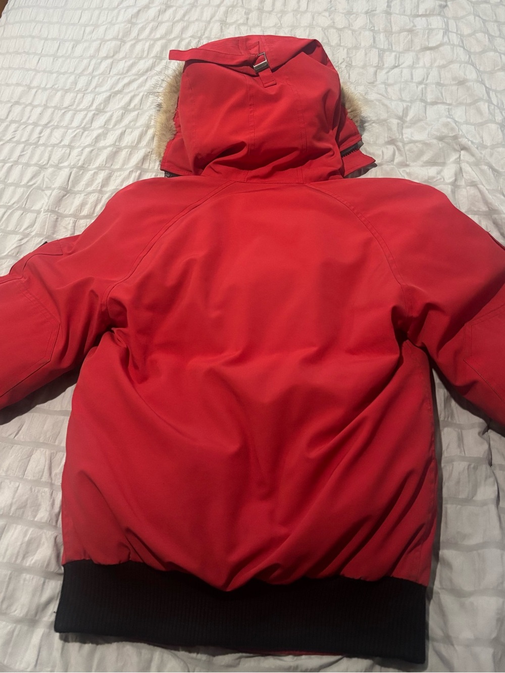 Youth Canada Goose Bomber -LIMITED TIME - Picture 2 of 8